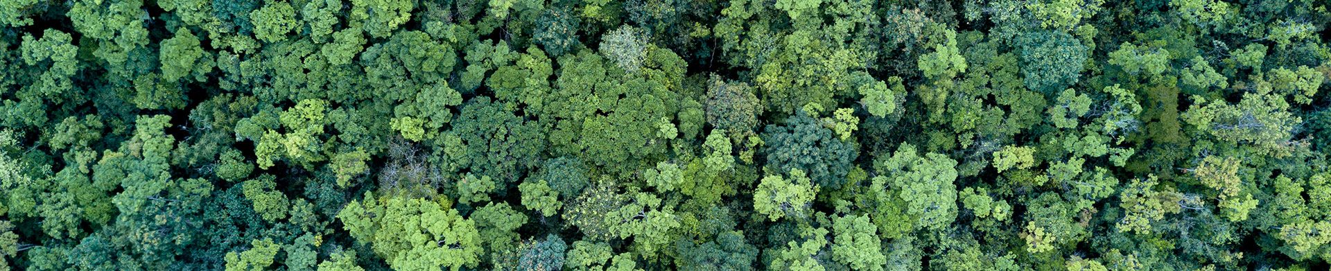 BOISESJARDINS_header_contact