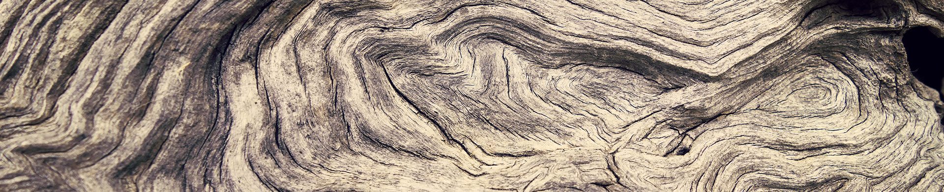 BOISESJARDINS_header_devis